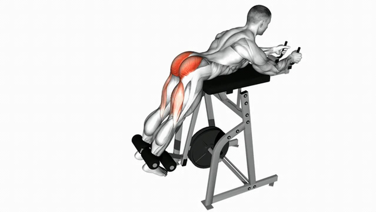 Alternatives to Lever Reverse Hyperextensions Image