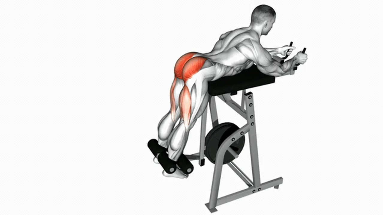 Common mistakes during Lever Reverse Hyperextensions Image