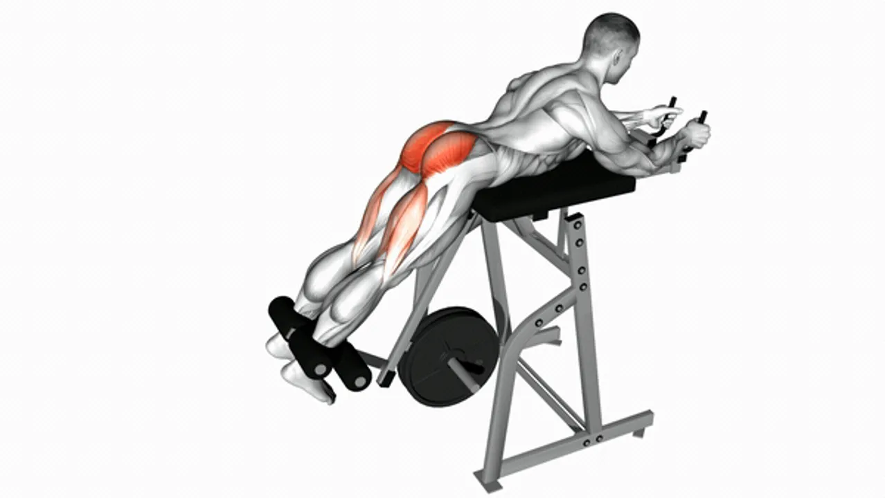 Lever Reverse Hyperextension