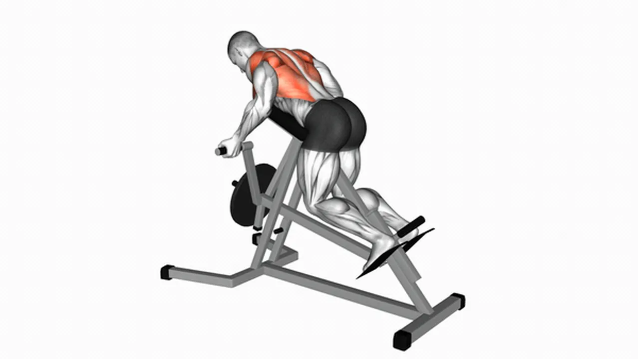 What are the benefits of the Lever Reverse T-Bar Row? Image