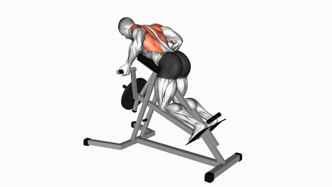 How to do the Lever Reverse T-Bar Row? Image