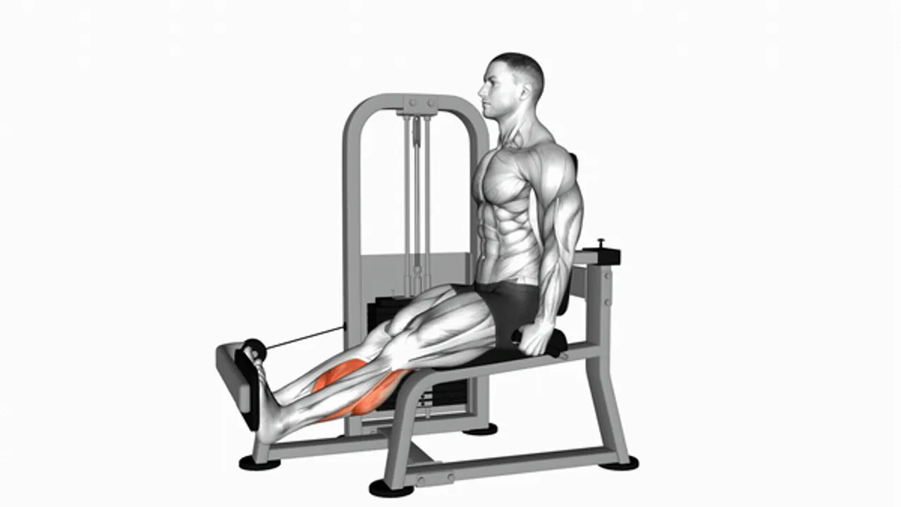 Lever Rotary Calf Raises