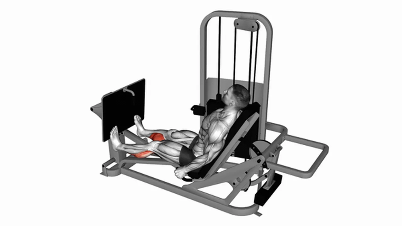 What are the benefits of the Lever Seated Calf Press? Image