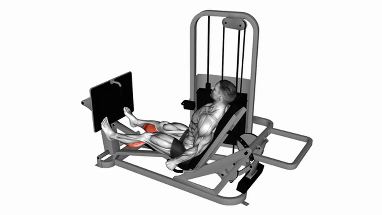 How to do the Lever Seated Calf Press? Image