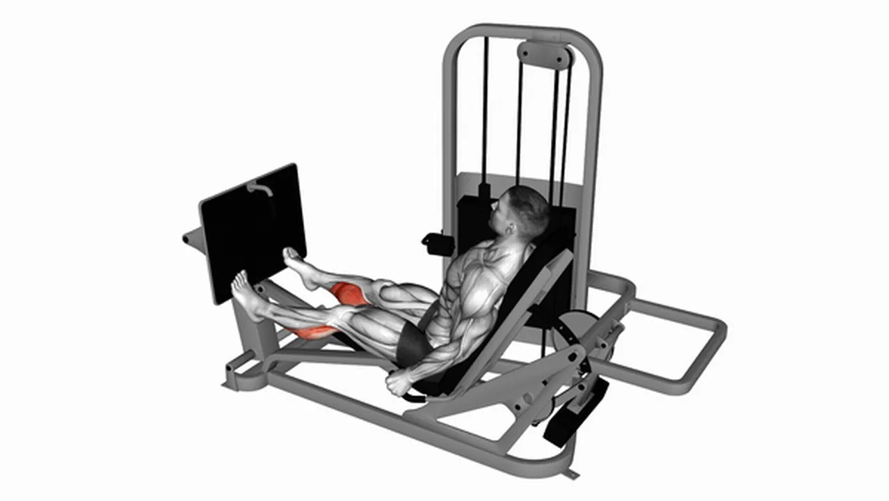 Common Lever Seated Calf Press variations Image