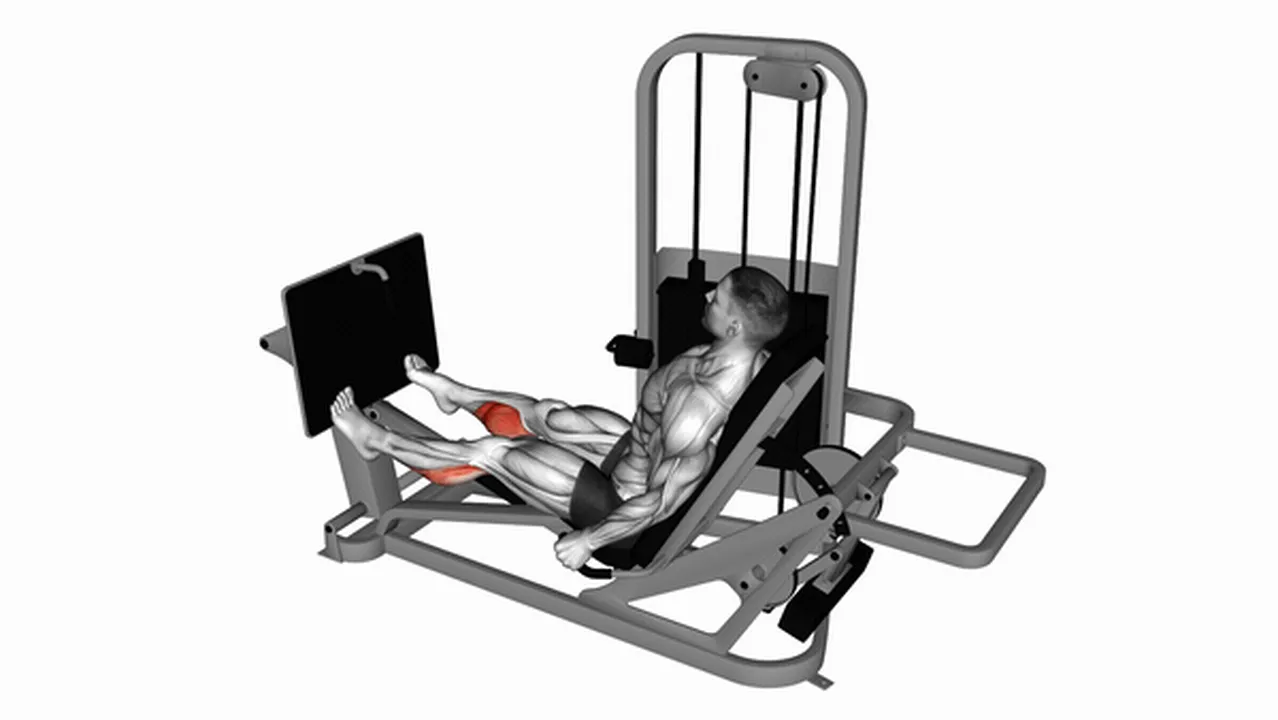 Alternatives to the Lever Seated Calf Press Image