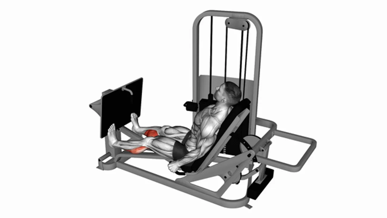 Lever Seated Calf Press