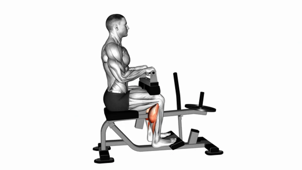 Lever Seated Calf Raise