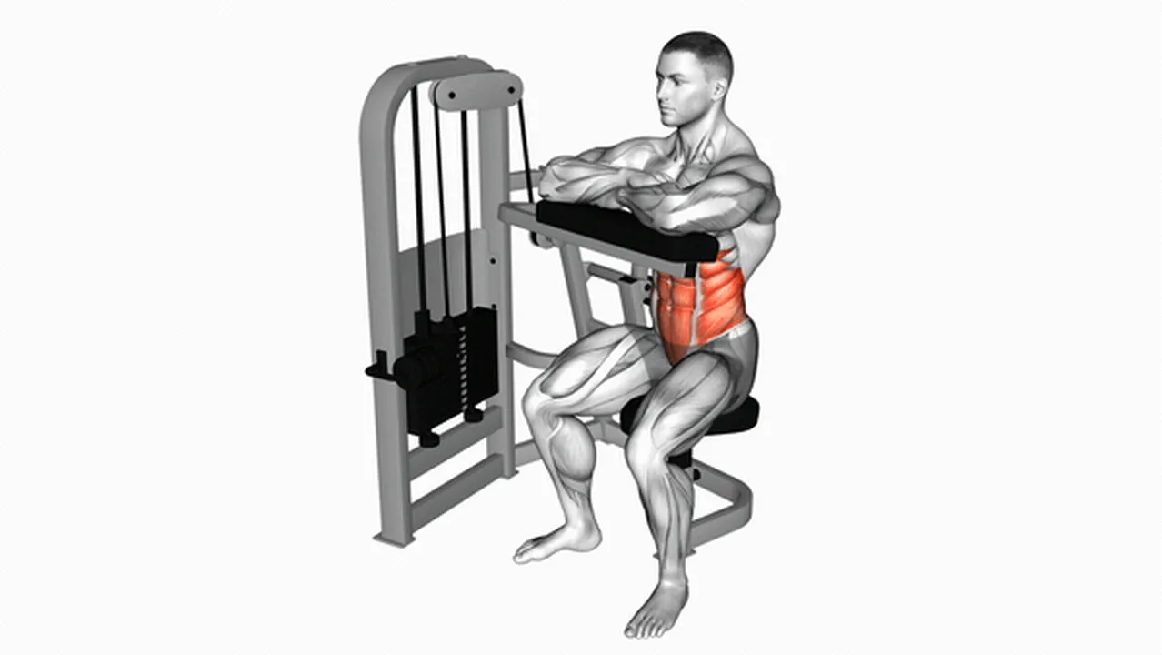 What are the benefits of Lever Seated Crunches? Image