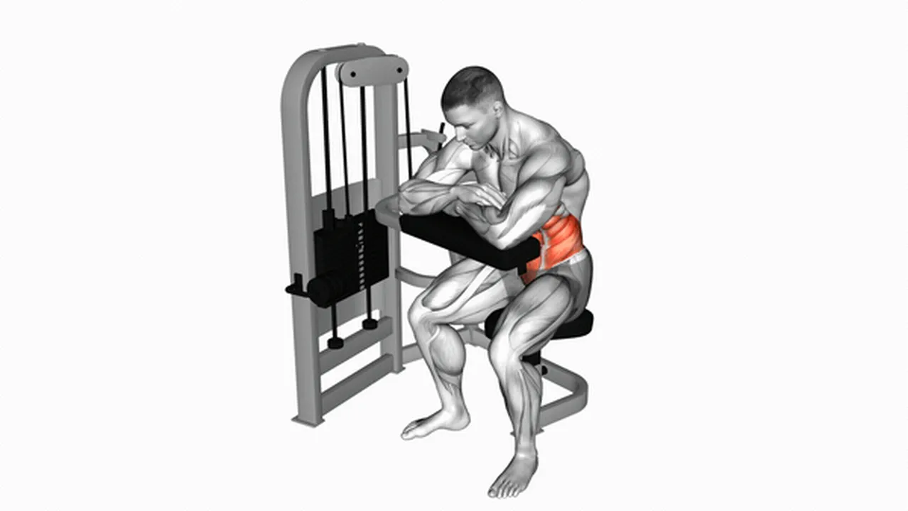 How to do Lever Seated Crunches? Image