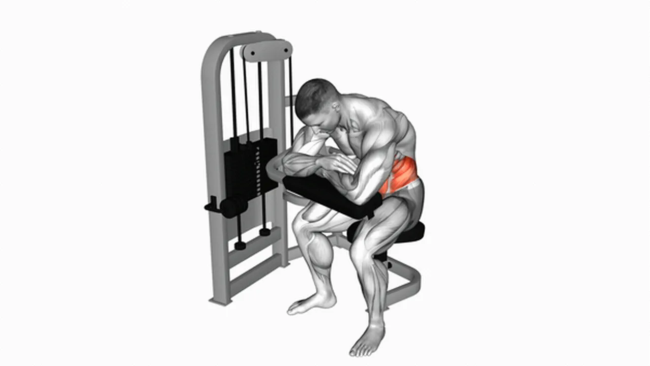 Common Lever Seated Crunch variations Image