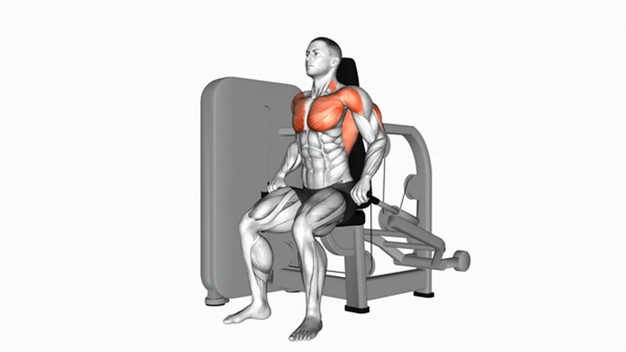 Common mistakes during Lever Seated Dips Image