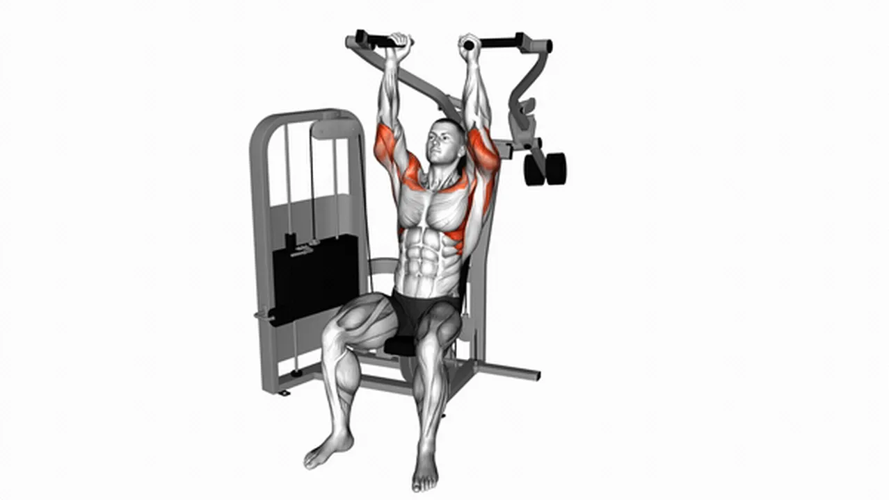 Common Lever Seated Hammer Grip Shoulder Press variations Image