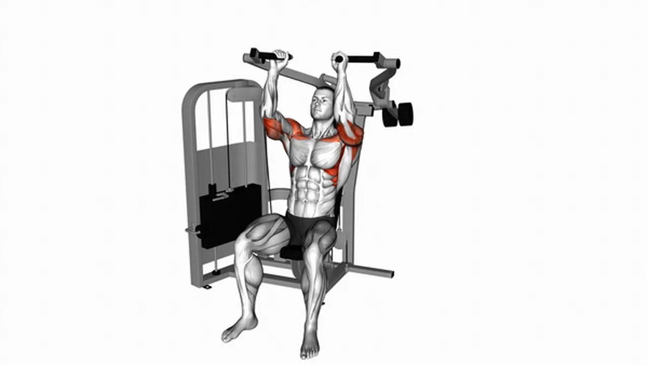 Alternatives to Lever Seated Hammer Grip Shoulder Press Image