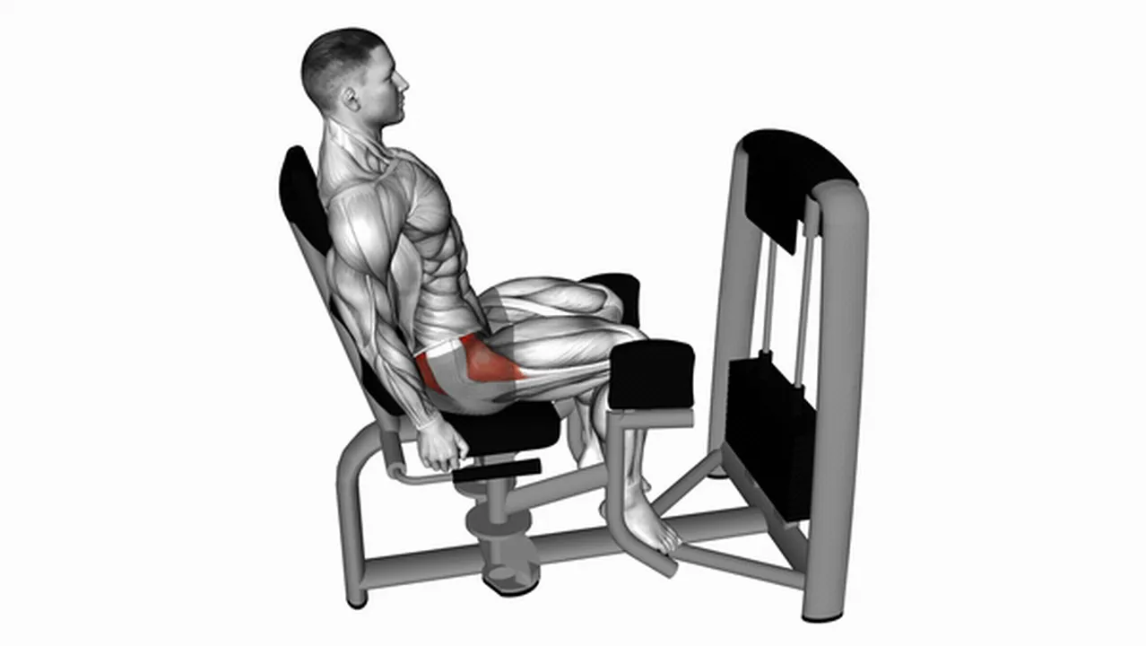 Common Lever Seated Hip Abduction variations Image