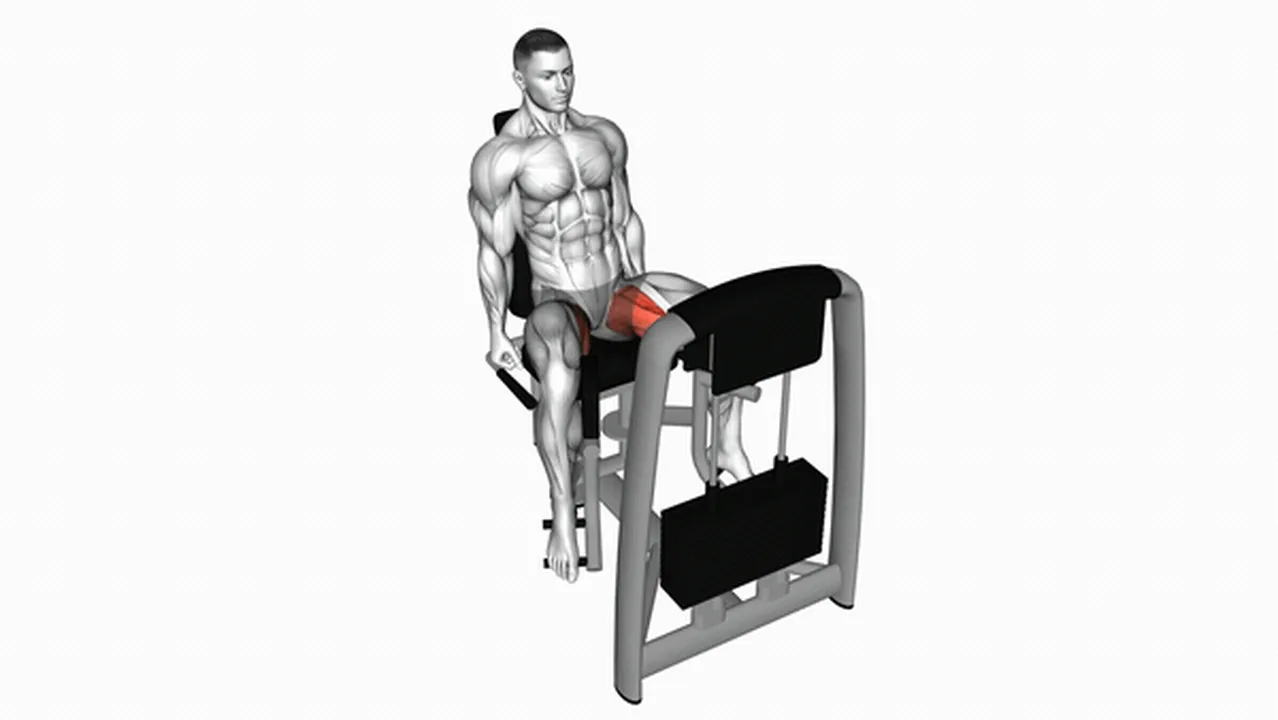 Common Lever Seated Hip Adduction variations Image