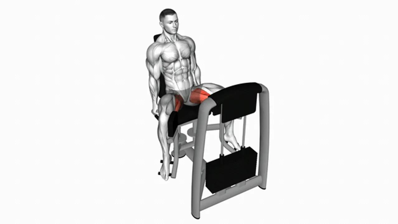 Lever Seated Hip Adduction