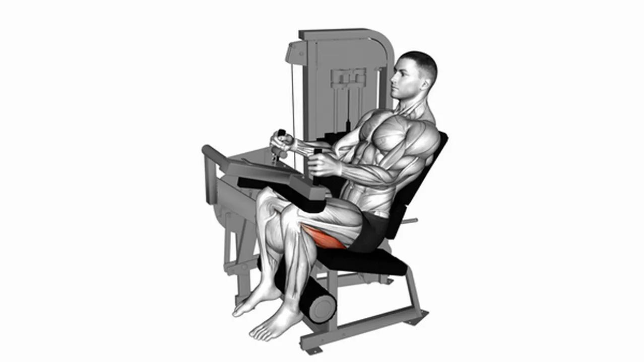 What are the benefits of Lever Seated Leg Curls? Image