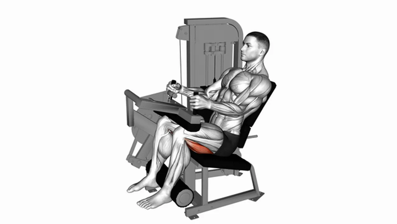 Common Lever Seated Leg Curl variations Image