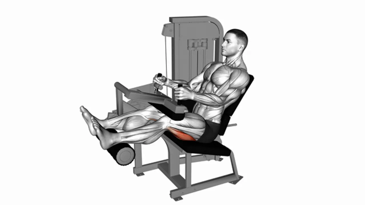 Lever Seated Leg Curl