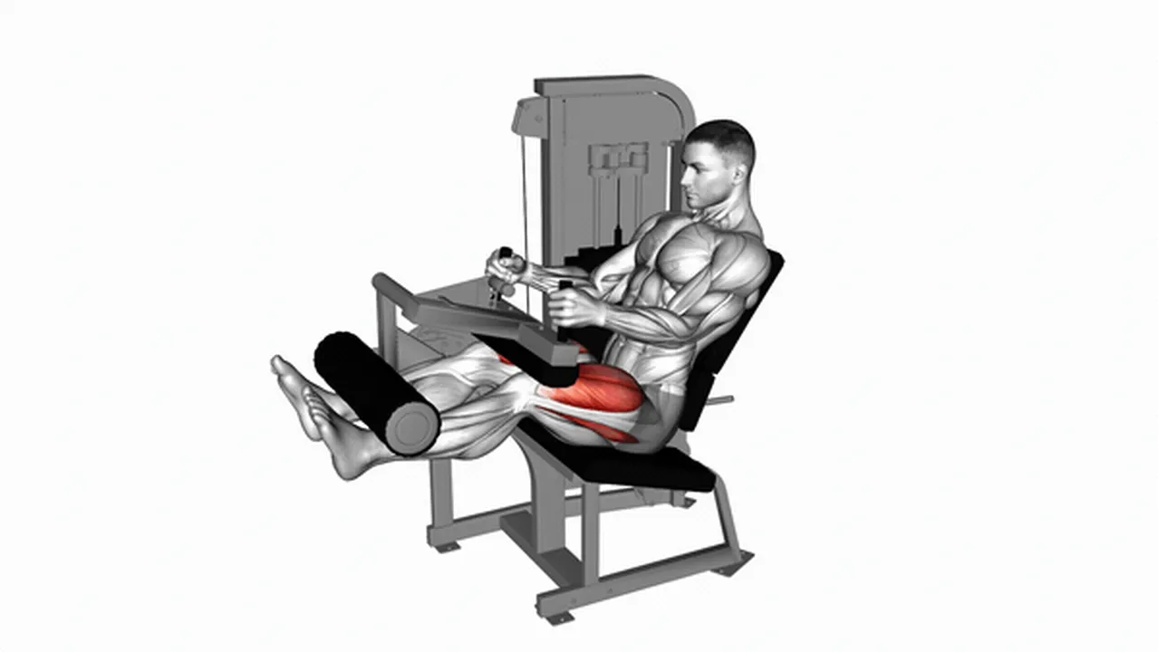 How to do Lever Seated Leg Extensions? Image