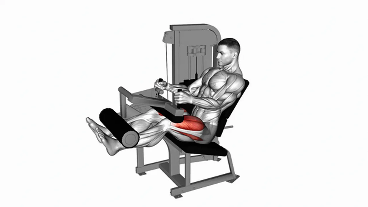 Common Lever Seated Leg Extension variations Image