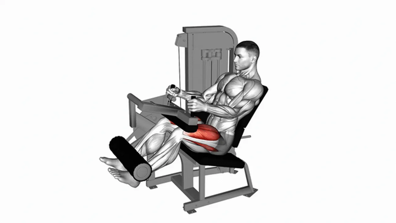 Alternatives to Lever Seated Leg Extensions Image