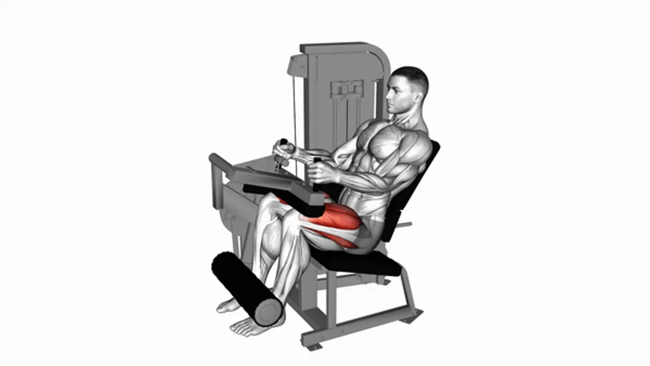 Lever Seated Leg Extension