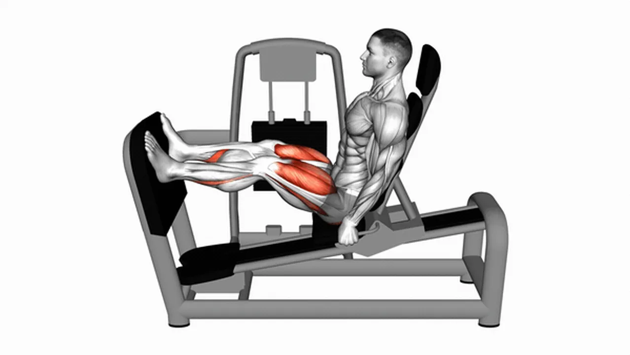 How to do the Lever Seated Leg Press? Image