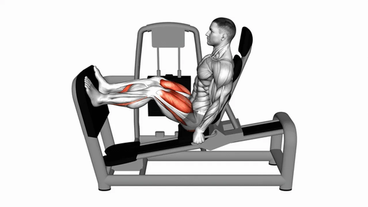 Common mistakes during the Lever Seated Leg Press Image