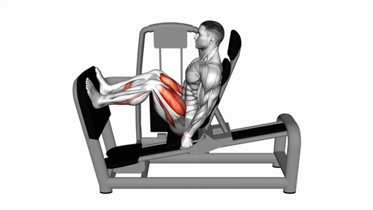 Lever Seated Leg Press