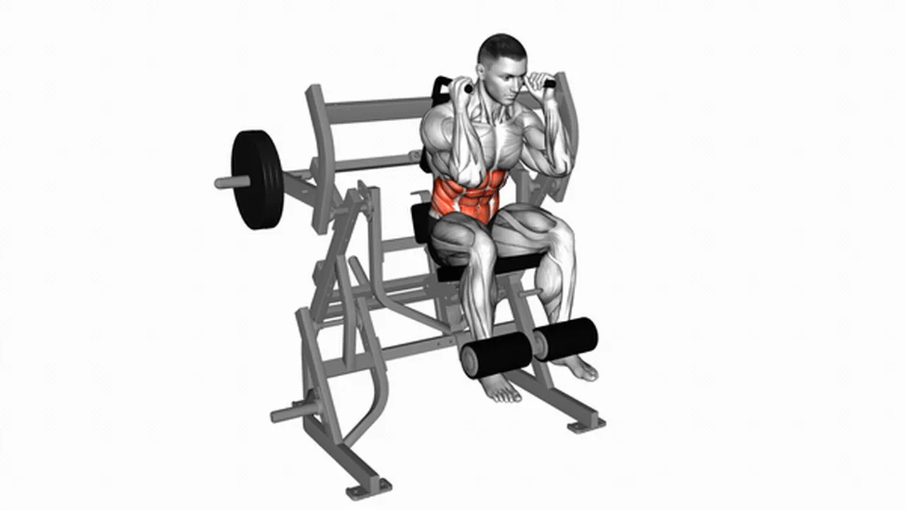 Common variations of the Lever Seated Leg Raise Crunch Image