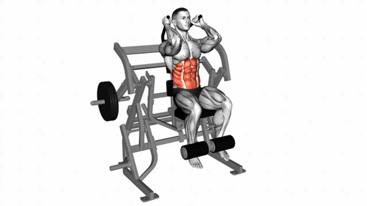 Lever Seated Leg Raise Crunch