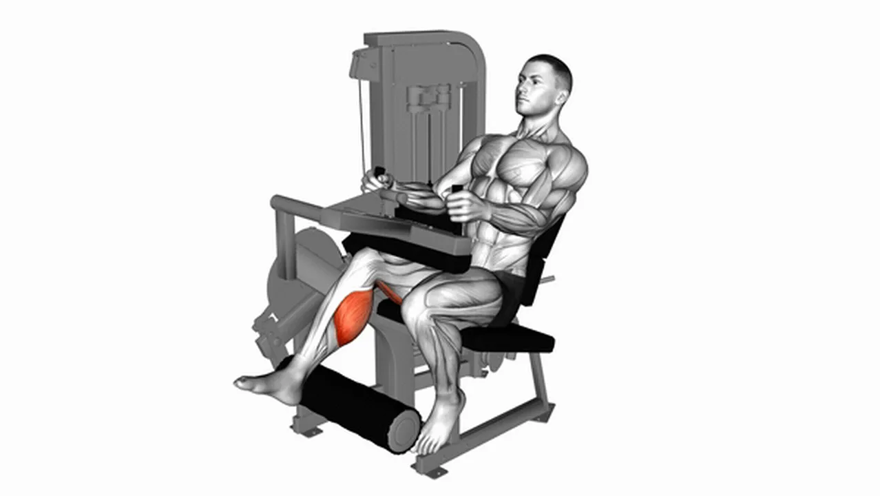 How to do Lever Seated One Leg Curls? Image