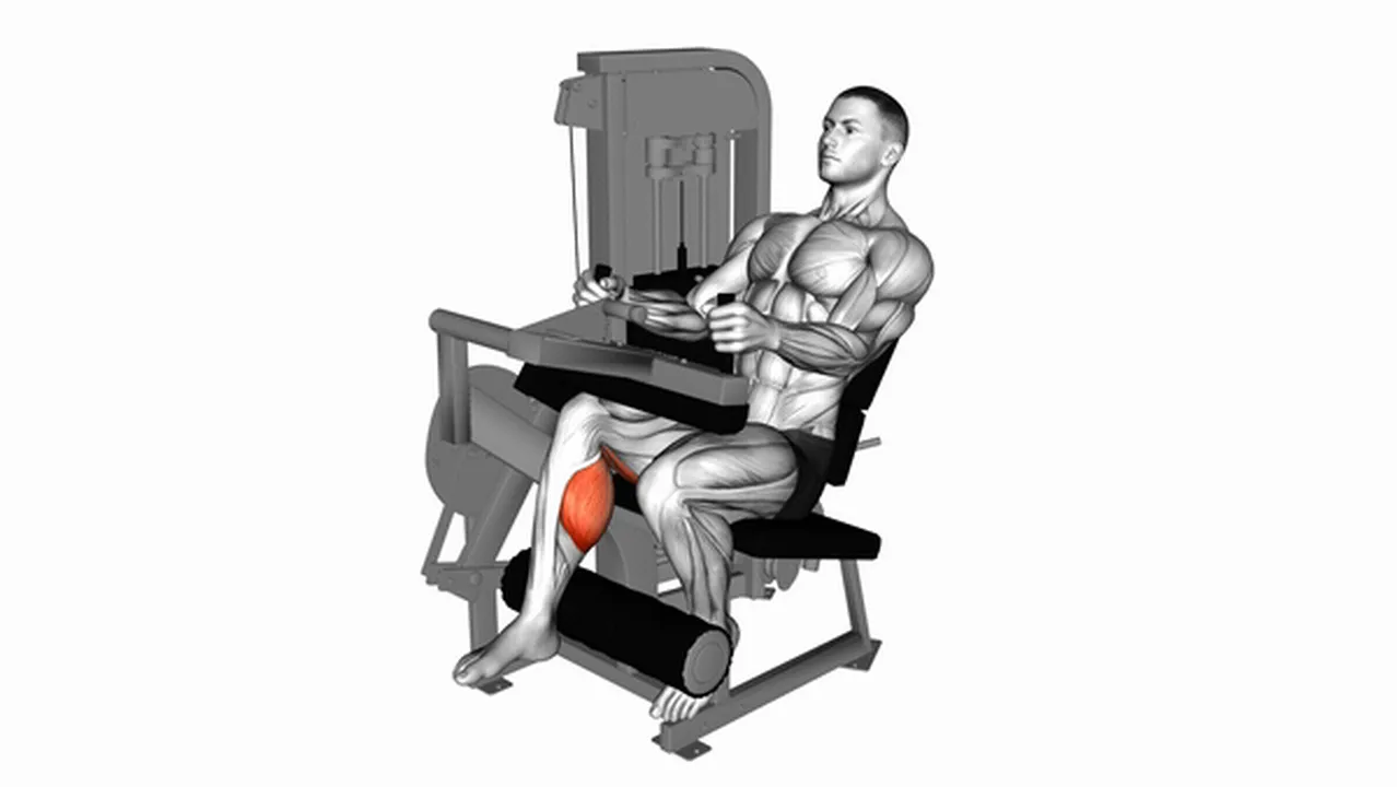 Common Lever Seated One Leg Curl variations Image