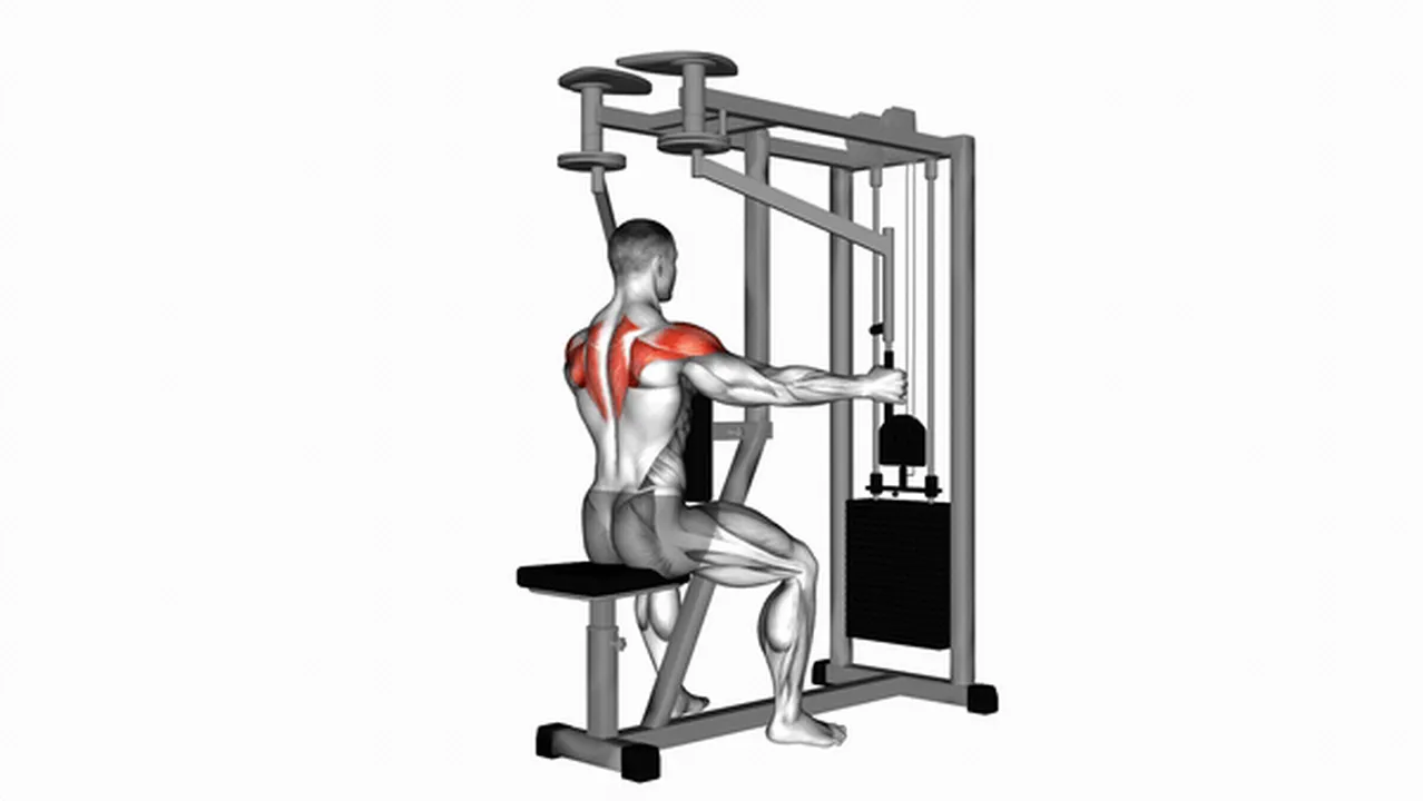 What are the benefits of the Lever Seated Reverse Fly? Image