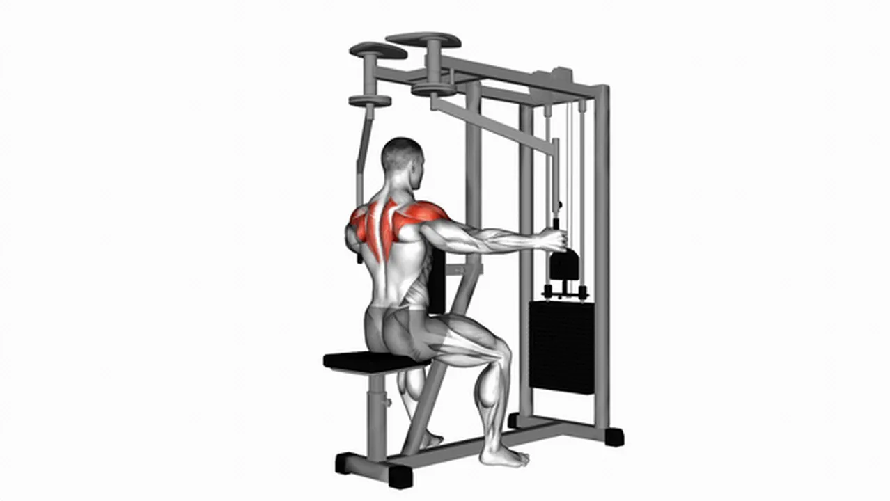 Common mistakes during Lever Seated Reverse Fly Image