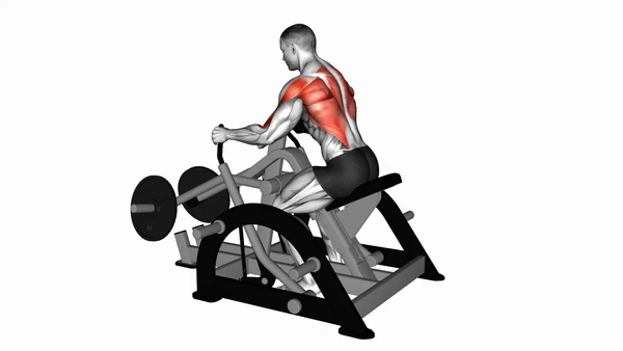 Lever Seated Row (Plate Loaded)