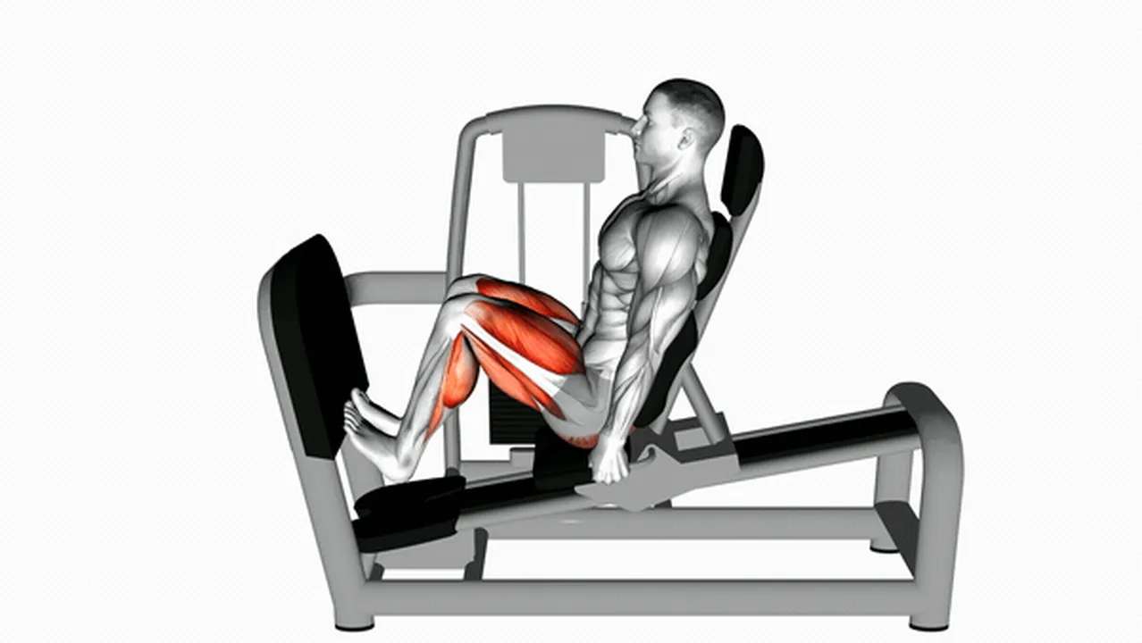 What are the benefits of the Lever Seated Squat Calf Raise? Image