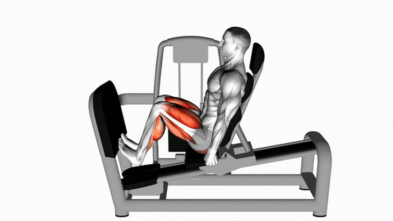 How to do the Lever Seated Squat Calf Raise? Image