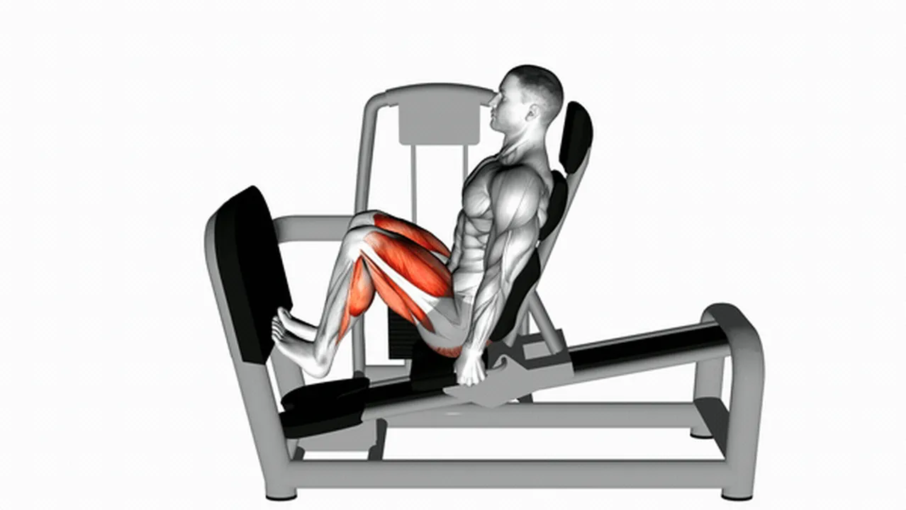 Common mistakes during Lever Seated Squat Calf Raise Image