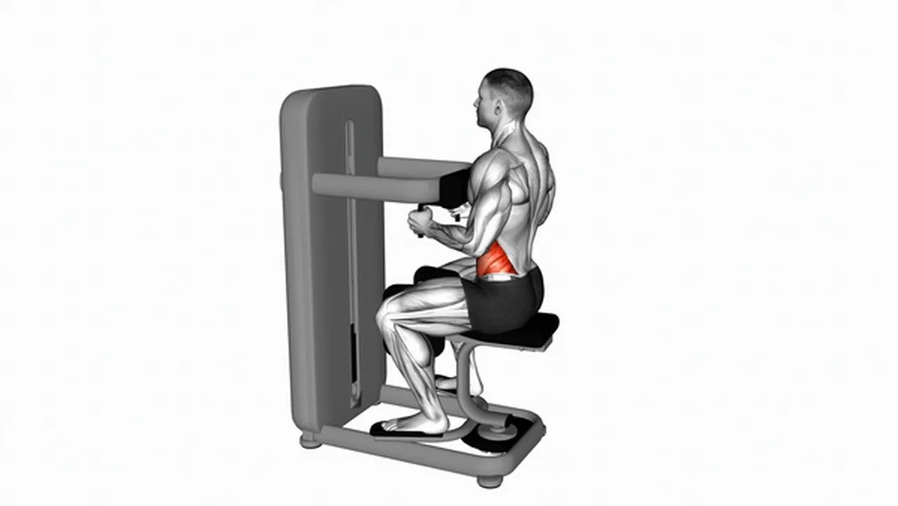 What are the benefits of the Lever Seated Twist? Image