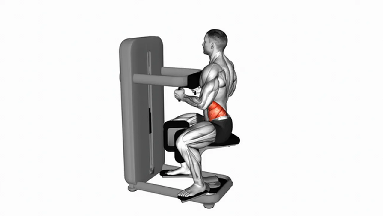 How to do the Lever Seated Twist? Image