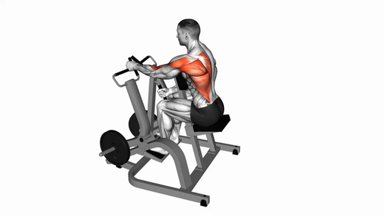 Common Lever Single Arm Neutral Grip Seated Row variations Image