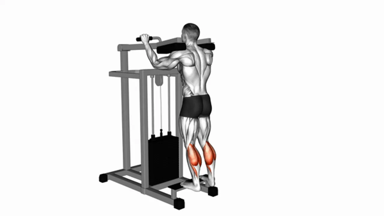 Lever Standing Calf Raise