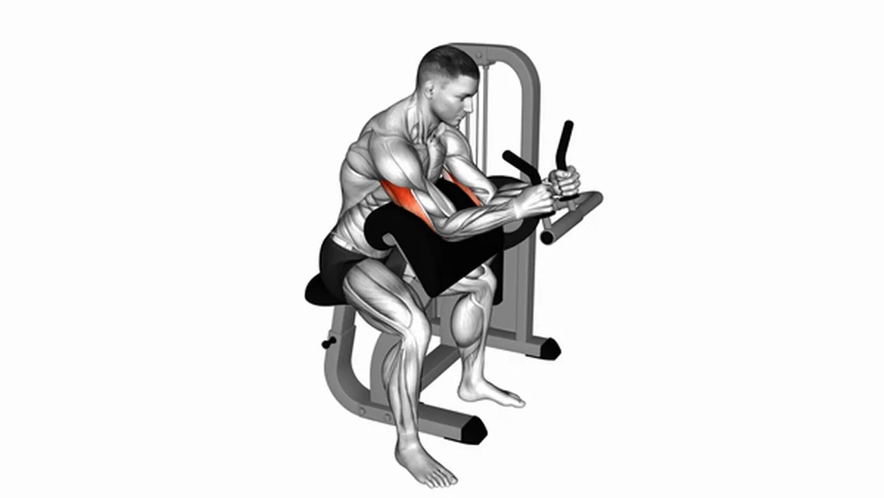 How to do Lever Triceps Extensions? Image