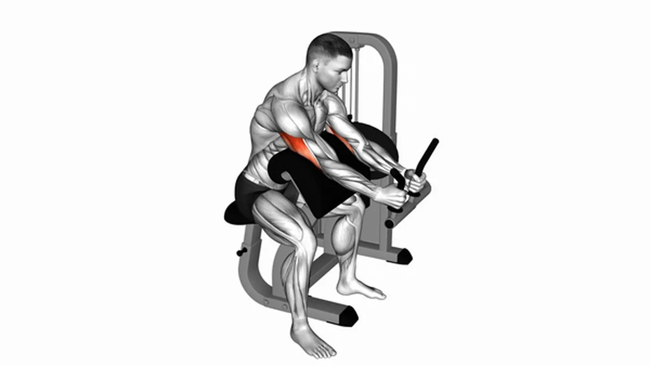 Common Lever Triceps Extensions variations Image