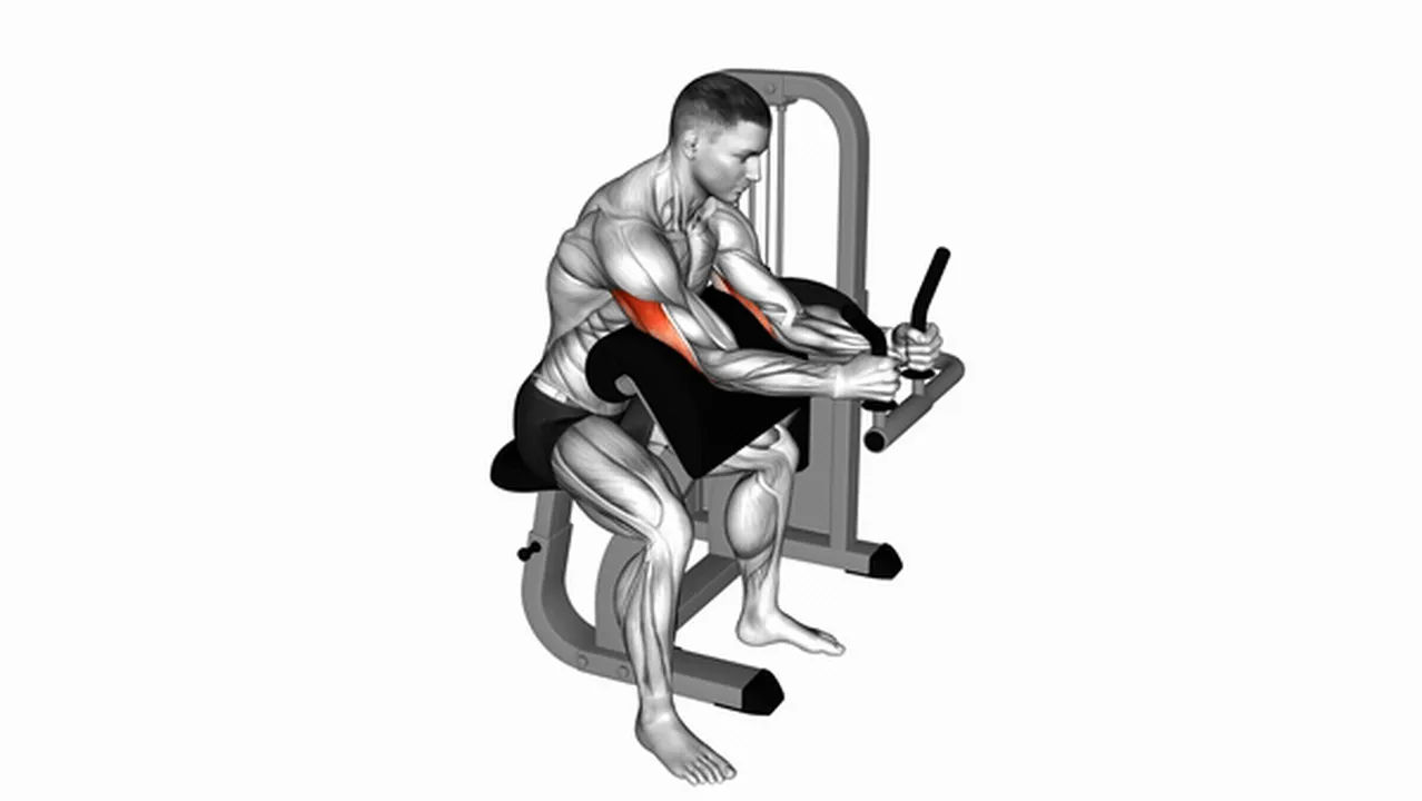 Alternatives to Lever Triceps Extensions Image