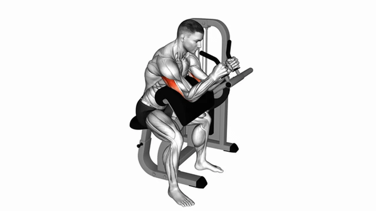 Common mistakes during Lever Triceps Extensions Image