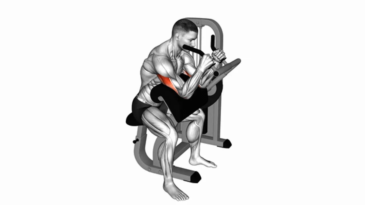 Lever Triceps Extension